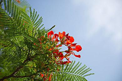 《赛博朋克2077》打上50个MOD之后效果是这样的